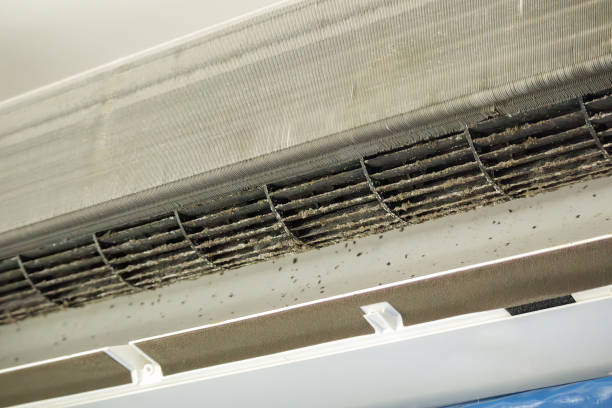 Air Duct Mold Removal in Trexlertown, PA